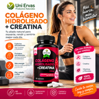Colágeno Hidrolizado + Creatina - Apoya al bienestar y rendimiento